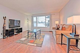 Photo 4: 104 3130 66 Avenue SW in Calgary: Lakeview House for sale : MLS®# C4162418
