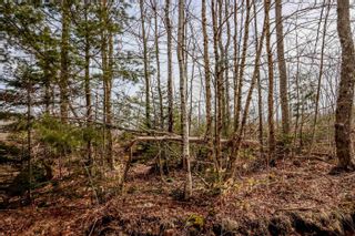 Photo 10: Lot N1 Nature Haven Road in Lake Paul: Kings County Vacant Land for sale (Annapolis Valley)  : MLS®# 202207655