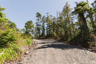 Photo 7: LOT B Hawkes Rd in Ucluelet: PA Ucluelet Land for sale (Port Alberni)  : MLS®# 942953