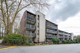 Main Photo: 501 9847 MANCHESTER Drive in Burnaby: Cariboo Condo for sale (Burnaby North)  : MLS®# R2558218