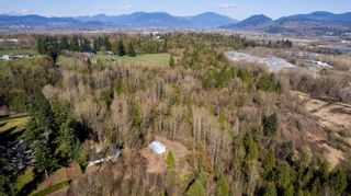 Photo 40: 33196 OLD RIVERSIDE Road in Abbotsford: Central Abbotsford House for sale : MLS®# R2865034
