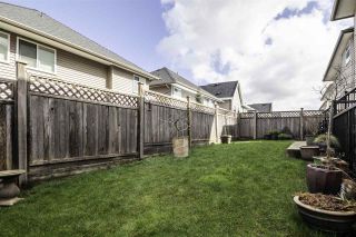 Photo 36: 8076 209 Street in Langley: Willoughby Heights House for sale in "YOKSON" : MLS®# R2561257
