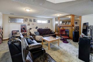 Photo 18: 124 Martindale Close NE in Calgary: Martindale Detached for sale : MLS®# A2130729
