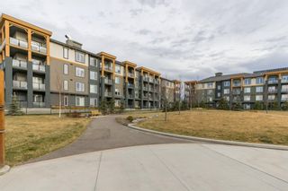 Photo 29: 205 300 Auburn Meadows Manor SE in Calgary: Auburn Bay Apartment for sale : MLS®# A1160245
