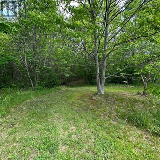 Photo 25: 15 Conquerall Road in Hebbs Cross: Vacant Land for sale : MLS®# 202325145