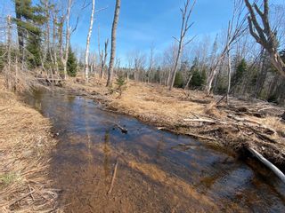 Photo 18: Lot 22 Lakeside Drive in Little Harbour: 108-Rural Pictou County Vacant Land for sale (Northern Region)  : MLS®# 202207910