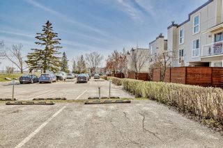Photo 34: 302 13104 Elbow Drive SW in Calgary: Canyon Meadows Row/Townhouse for sale : MLS®# A2045252