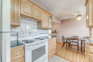 Photo 14: 51 Foley Road SE in Calgary: Fairview Detached for sale : MLS®# A1201083
