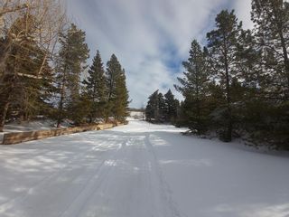 Photo 5: 5 Manitoba Avenue: Rural Kneehill County Detached for sale : MLS®# A2020613