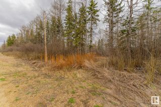 Photo 11: 51520 RR200A: Rural Beaver County Vacant Lot/Land for sale : MLS®# E4385720