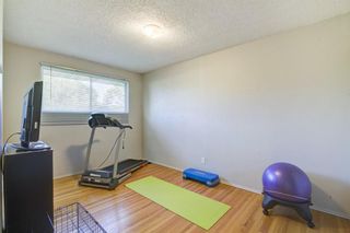 Photo 13: 4431 3 Street NE in Calgary: Greenview Detached for sale : MLS®# A1232463