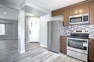 Photo 10: 137 Martindale Drive NE in Calgary: Martindale Detached for sale : MLS®# A1258147