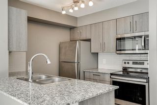 Photo 17: 1203 4641 128 Avenue NE in Calgary: Skyview Ranch Apartment for sale : MLS®# A2042459