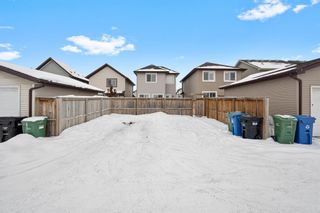 Photo 34: 29 Cranford Place SE in Calgary: Cranston Detached for sale : MLS®# A2029463