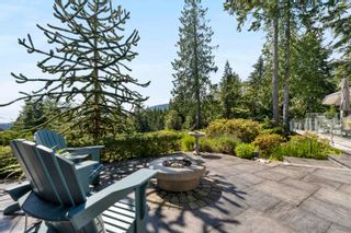 Photo 31: 463 VENTURA Crescent in North Vancouver: Upper Delbrook House for sale : MLS®# R2852736