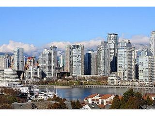 Photo 19: 2268 ALDER Street in Vancouver West: Home for sale : MLS®# V1045830