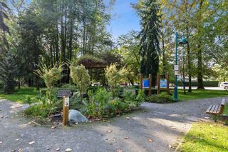 Photo 20: 301 260 NEWPORT Drive in Port Moody: North Shore Pt Moody Condo for sale in "THE MCNAIR" : MLS®# R2505902