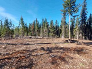 Photo 11: LOT 1 S CARIBOO Highway in Prince George: Pineview Land for sale (PG Rural South)  : MLS®# R2736269