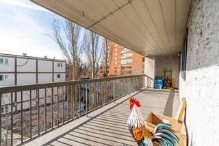 Photo 14: 301 305 25 Avenue SW in Calgary: Mission Apartment for sale : MLS®# A2109893