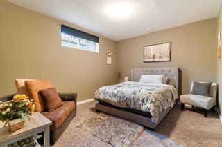 Photo 33: 246 Evanspark Circle NW in Calgary: Evanston Detached for sale : MLS®# A2129795