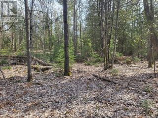 Photo 1: CON 3 LOT 5 in Gore Bay: Vacant Land for sale : MLS®# 2116006