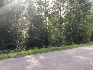 Main Photo: LOT 4 VALHALLA Road in Quesnel: Quesnel - Town Land for sale (Quesnel (Zone 28))  : MLS®# R2491850
