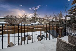 Photo 3: 1347 Berkley Drive NW in Calgary: Beddington Heights Detached for sale : MLS®# A2026417