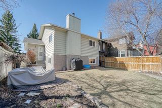 Photo 50: 320 Bermuda Drive NW in Calgary: Beddington Heights Detached for sale : MLS®# A1211726