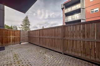Photo 13: 127 333 Garry Crescent NE in Calgary: Greenview Apartment for sale : MLS®# A2129758
