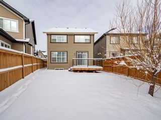 Photo 35: 87 Masters Place SE in Calgary: Mahogany Detached for sale : MLS®# A1183560