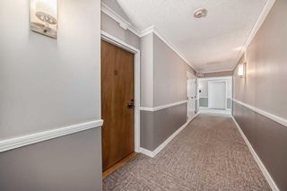Photo 6: 306 145 Point Drive NW in Calgary: Point McKay Apartment for sale : MLS®# A2116380