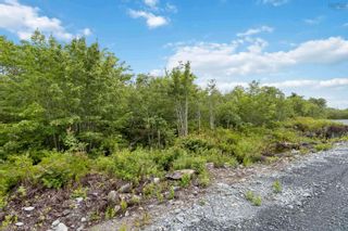 Photo 18: Lot 12 Maple Ridge Drive in White Point: 406-Queens County Vacant Land for sale (South Shore)  : MLS®# 202315158