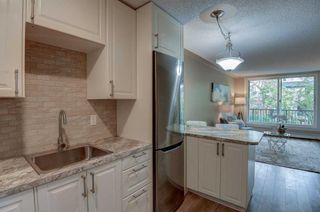 Photo 9: 203 1015 14 Avenue SW in Calgary: Beltline Apartment for sale : MLS®# A2081680