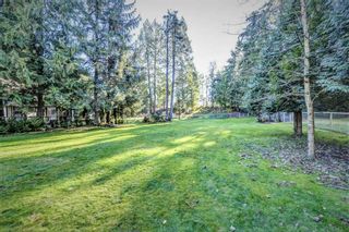 Photo 5: 33278 TUNBRIDGE Avenue in Mission: Mission BC House for sale : MLS®# R2323967