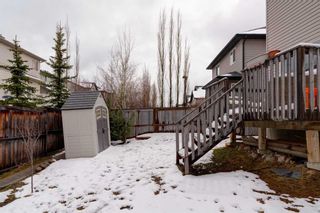 Photo 34: 46 Royal Birch Landing NW in Calgary: Royal Oak Detached for sale : MLS®# A2127910