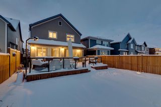 Photo 44: 33 Masters Place SE in Calgary: Mahogany Detached for sale : MLS®# A1184200