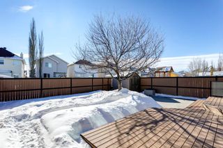 Photo 37: 134 Coverton Heights NE in Calgary: Coventry Hills Detached for sale : MLS®# A1071976