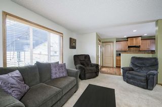 Photo 17: 234 ELGIN View SE in Calgary: McKenzie Towne Detached for sale : MLS®# A1035029