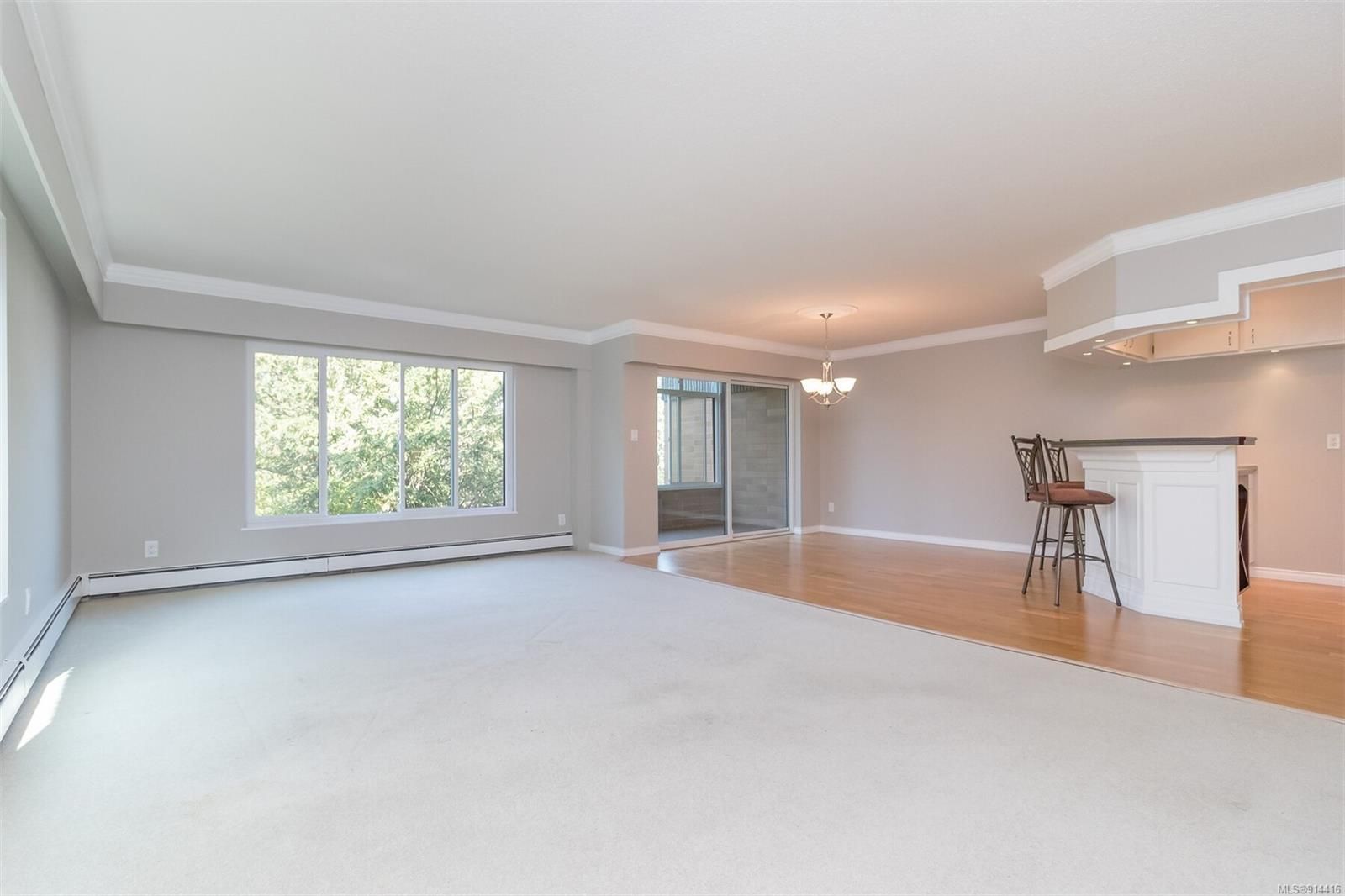 Photo 4: Photos: 307 2930 Cook St in Victoria: Vi Mayfair Condo for sale : MLS®# 914416