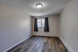 Photo 12: 1202 13045 6 Street SW in Calgary: Canyon Meadows Apartment for sale : MLS®# A2136483