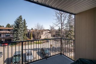 Photo 23: 4307 13045 6 Street SW in Calgary: Canyon Meadows Apartment for sale : MLS®# A1203863