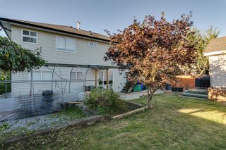 Photo 33: 33048 PHELPS Avenue in Mission: Mission BC House for sale : MLS®# R2714524