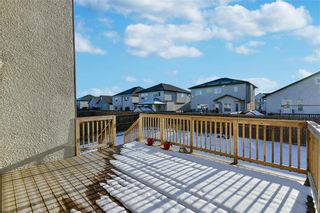 Photo 26: 50 Vestford Place in Winnipeg: South Pointe Residential for sale (1R)  : MLS®# 202331930