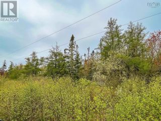 Photo 8: Lot 101 Long Cove Road in Port Medway: Vacant Land for sale : MLS®# 202304042