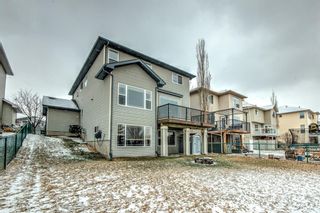 Photo 7: 109 SPRINGMERE Drive: Chestermere Detached for sale : MLS®# A1202265