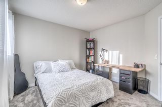 Photo 15: 77 Royal Elm Road NW in Calgary: Royal Oak Detached for sale