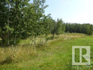 Photo 12: 40 26555  Twp 481: Rural Leduc County Rural Land/Vacant Lot for sale : MLS®# E4275777
