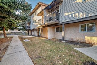 Photo 37: 15 3745 Fonda Way SE in Calgary: Forest Heights Row/Townhouse for sale : MLS®# A2115596