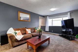 Photo 17: 343 Copperfield Heights SE in Calgary: Copperfield Detached for sale : MLS®# A2067320