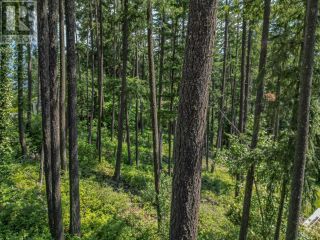 Photo 23: Lot 25 Forest View Place in Blind Bay: Vacant Land for sale : MLS®# 10278634